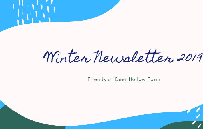winter newsletter 2019